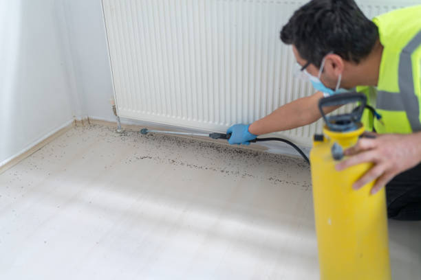 Pest Prevention Services in Friars Point, MS
